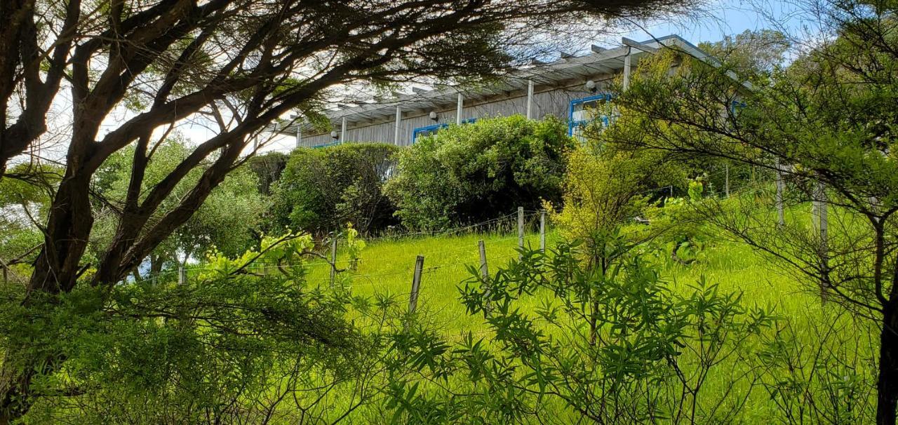 Rawhiti Cottage At Kaeppeli'S Kuaotunu Exterior photo