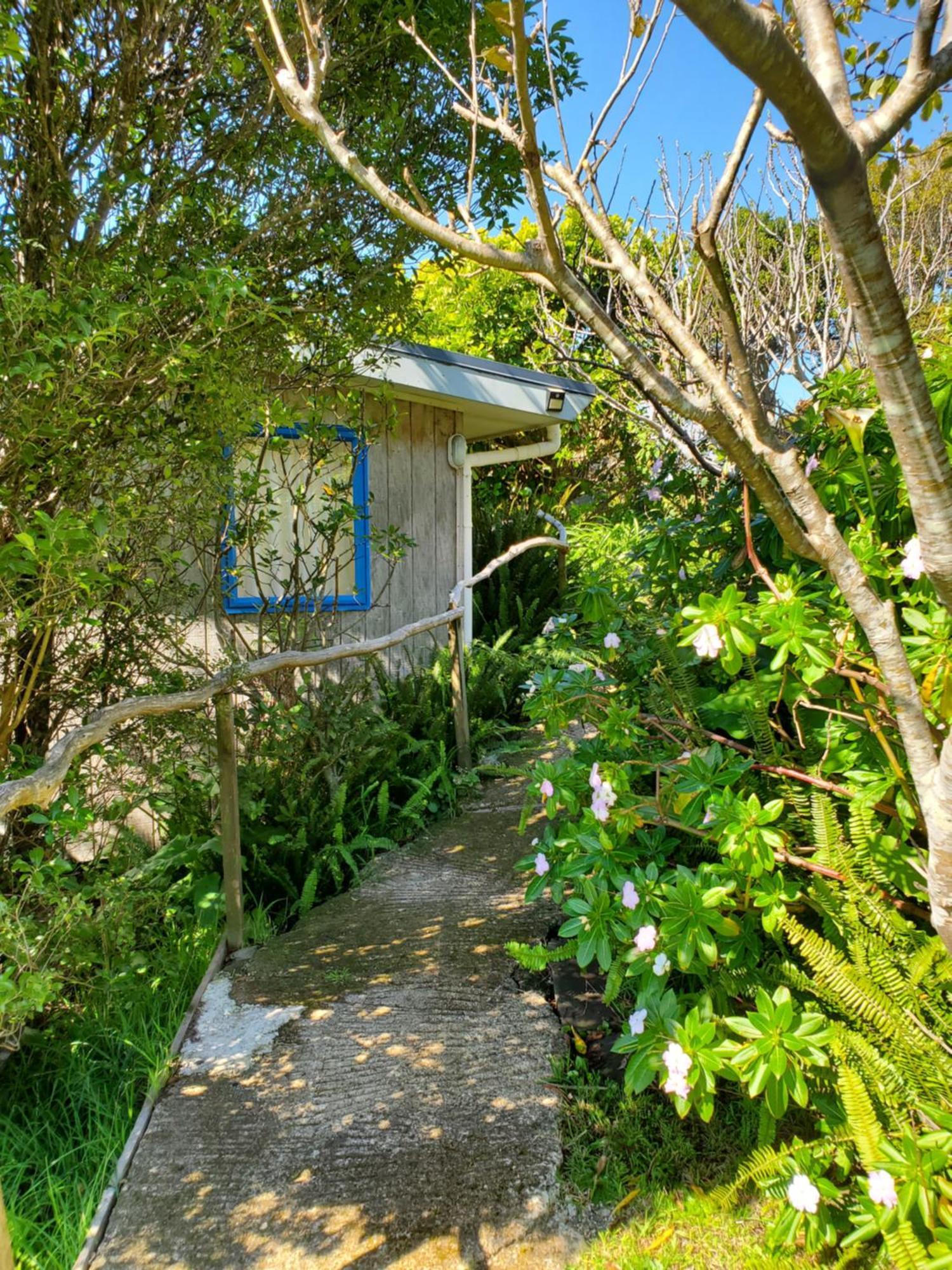 Rawhiti Cottage At Kaeppeli'S Kuaotunu Exterior photo